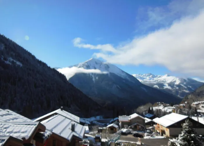 Apartment Fleur De Neige - 2 Pieces Pour 5 Personnes Mae-3334 La Plagne